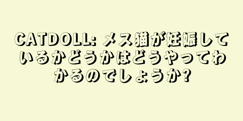 CATDOLL: メス猫が妊娠しているかどうかはどうやってわかるのでしょうか?