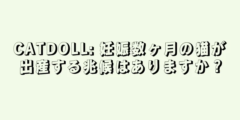 CATDOLL: 妊娠数ヶ月の猫が出産する兆候はありますか？