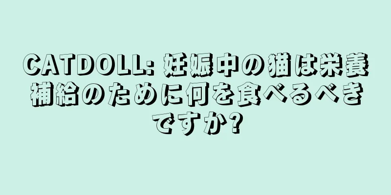 CATDOLL: 妊娠中の猫は栄養補給のために何を食べるべきですか?