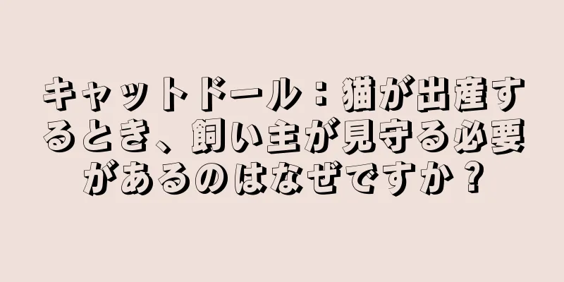 キャットドール：猫が出産するとき、飼い主が見守る必要があるのはなぜですか？