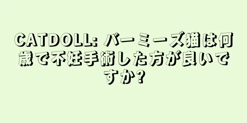 CATDOLL: バーミーズ猫は何歳で不妊手術した方が良いですか?