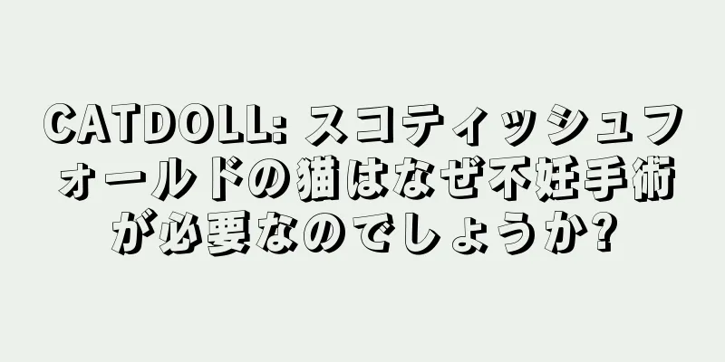CATDOLL: スコティッシュフォールドの猫はなぜ不妊手術が必要なのでしょうか?