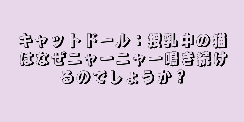 キャットドール：授乳中の猫はなぜニャーニャー鳴き続けるのでしょうか？