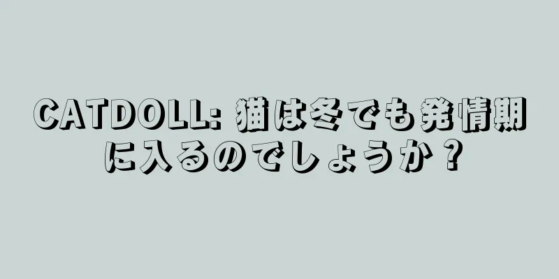 CATDOLL: 猫は冬でも発情期に入るのでしょうか？