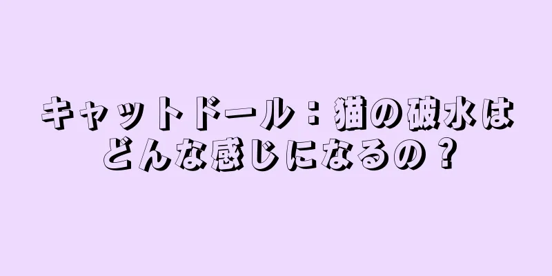 キャットドール：猫の破水はどんな感じになるの？