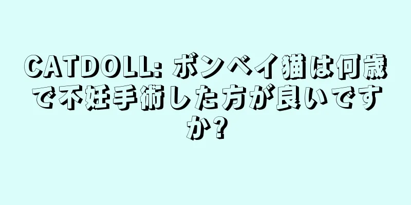 CATDOLL: ボンベイ猫は何歳で不妊手術した方が良いですか?