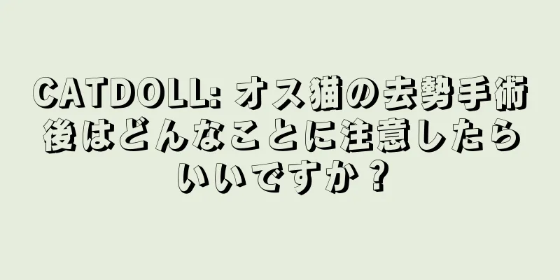 CATDOLL: オス猫の去勢手術後はどんなことに注意したらいいですか？