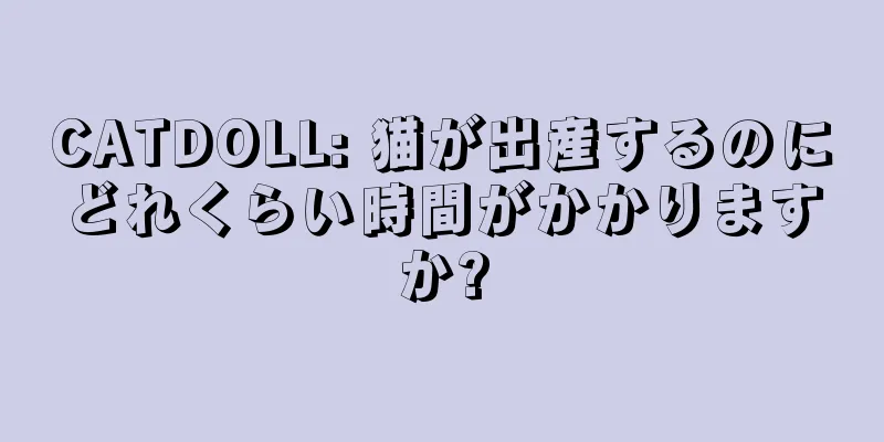 CATDOLL: 猫が出産するのにどれくらい時間がかかりますか?