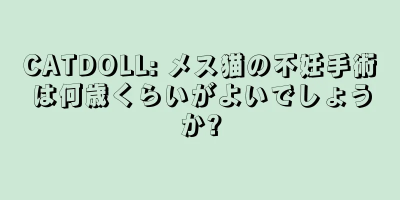 CATDOLL: メス猫の不妊手術は何歳くらいがよいでしょうか?