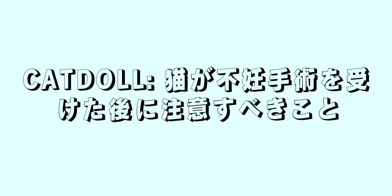 CATDOLL: 猫が不妊手術を受けた後に注意すべきこと