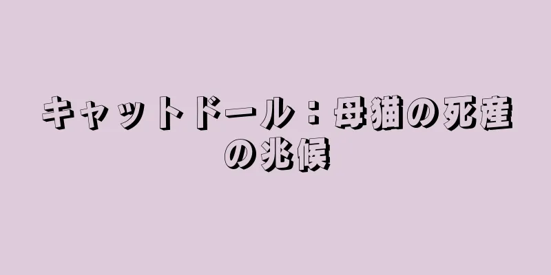 キャットドール：母猫の死産の兆候