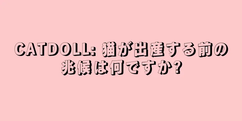 CATDOLL: 猫が出産する前の兆候は何ですか?