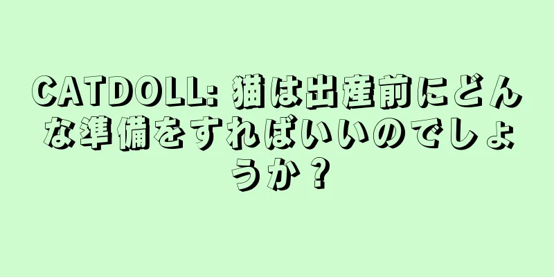 CATDOLL: 猫は出産前にどんな準備をすればいいのでしょうか？