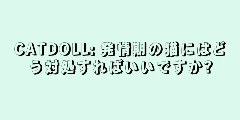 CATDOLL: 発情期の猫にはどう対処すればいいですか?