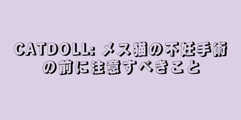 CATDOLL: メス猫の不妊手術の前に注意すべきこと