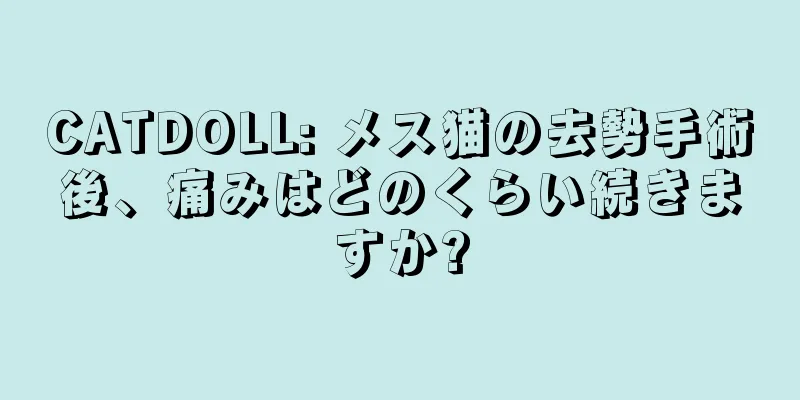 CATDOLL: メス猫の去勢手術後、痛みはどのくらい続きますか?