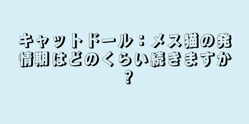 キャットドール：メス猫の発情期はどのくらい続きますか？