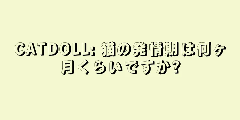 CATDOLL: 猫の発情期は何ヶ月くらいですか?