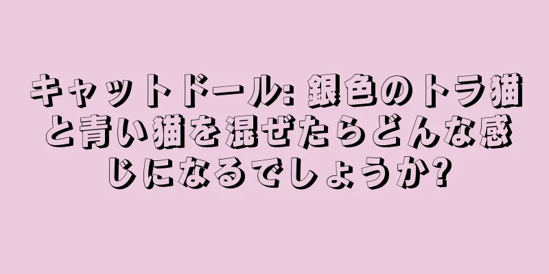 キャットドール: 銀色のトラ猫と青い猫を混ぜたらどんな感じになるでしょうか?