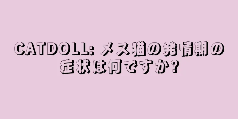 CATDOLL: メス猫の発情期の症状は何ですか?