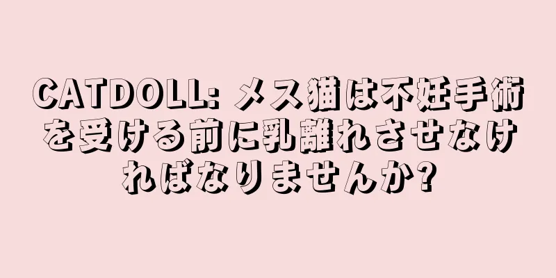 CATDOLL: メス猫は不妊手術を受ける前に乳離れさせなければなりませんか?