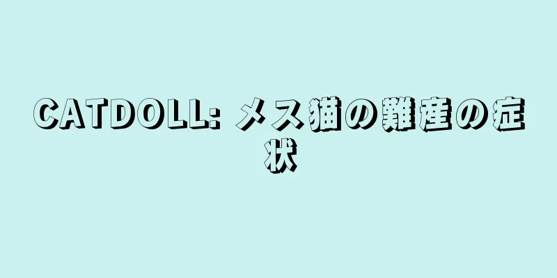 CATDOLL: メス猫の難産の症状