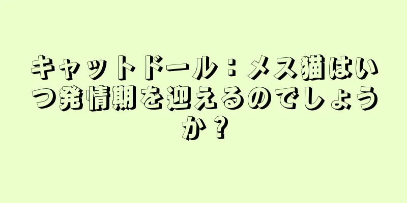 キャットドール：メス猫はいつ発情期を迎えるのでしょうか？