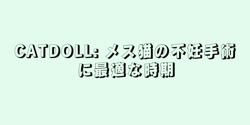 CATDOLL: メス猫の不妊手術に最適な時期